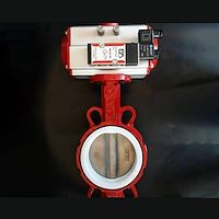 شیر پروانه ای فرداب 